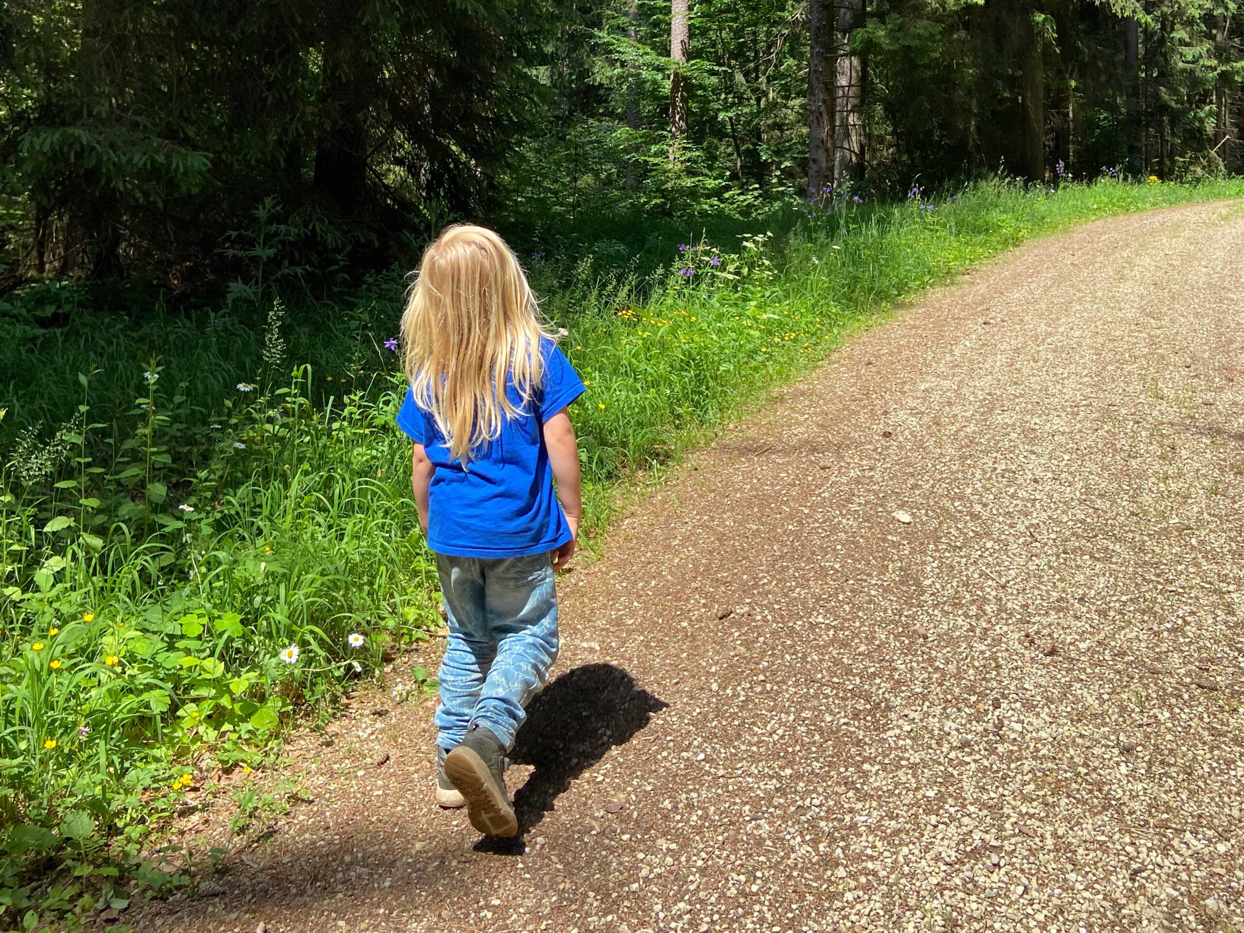 freilernen-beantragen-familienzeit-entdecken-de